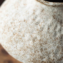 Load image into Gallery viewer, Coji flower vase