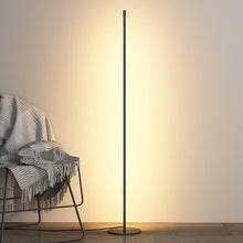 Load image into Gallery viewer, Stick floor lamp
