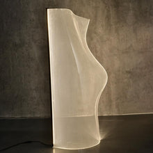 Load image into Gallery viewer, CASA art lamp