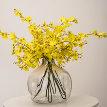 Load image into Gallery viewer, MG glass vase