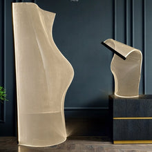 Load image into Gallery viewer, CASA art lamp