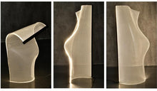 Load image into Gallery viewer, CASA art lamp